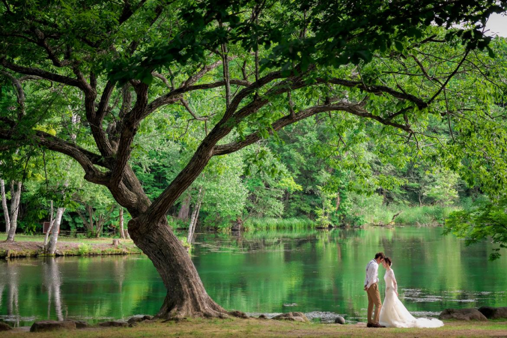 スタジオフォトス