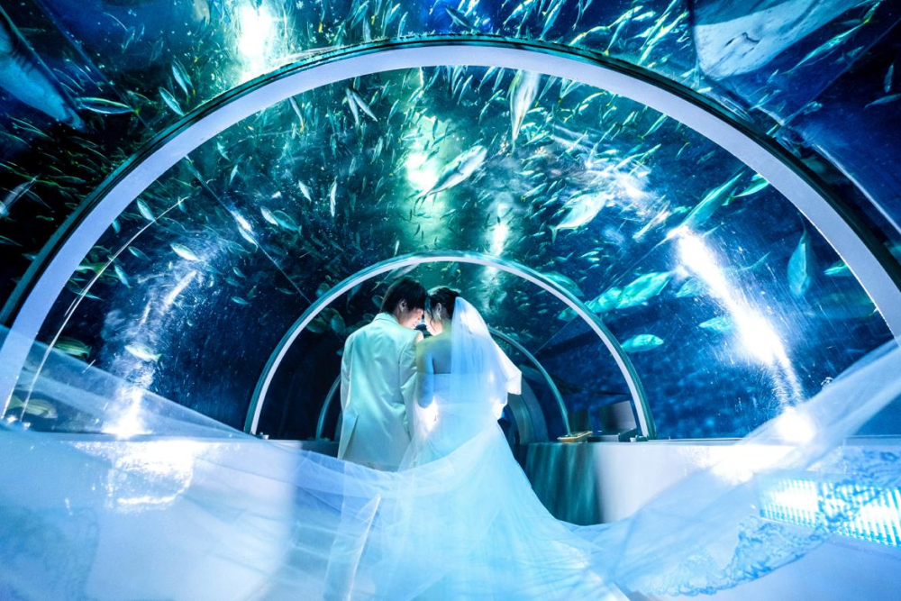 登別マリンパークニクス