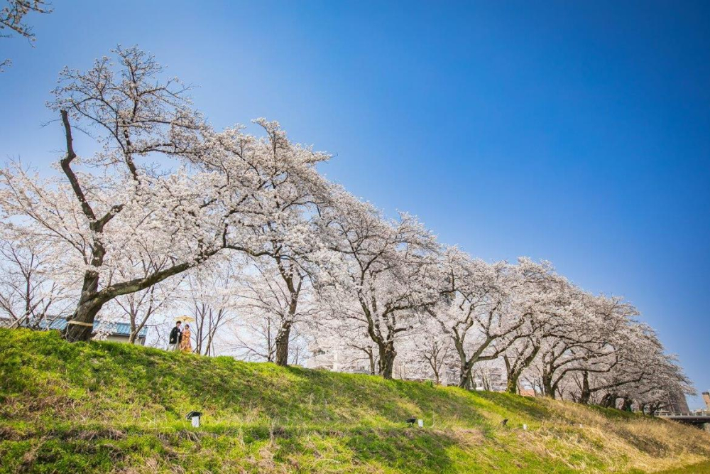 未来ウェディング