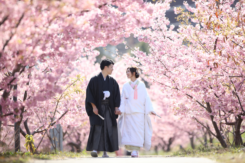 Kスタジオ 草薙店