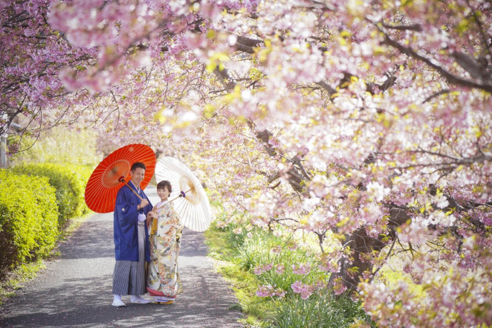 アンシャンテ伊豆