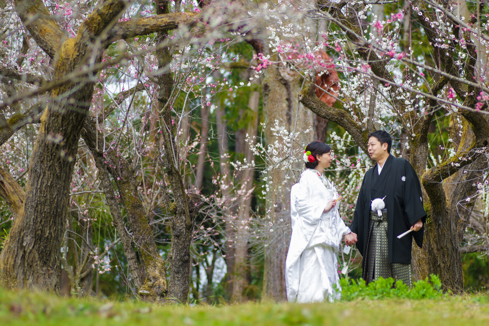 ヴォヤージュ ドゥ ルミエール京都七条迎賓館