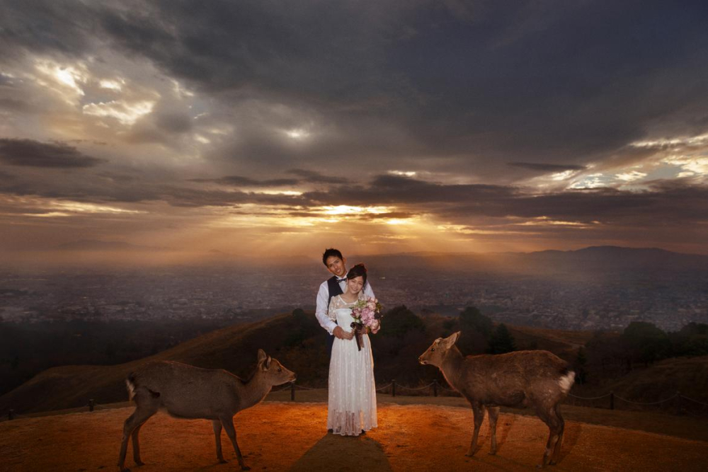 LIFE PhotoStudio by B WORKs PHOTOGRAPHY