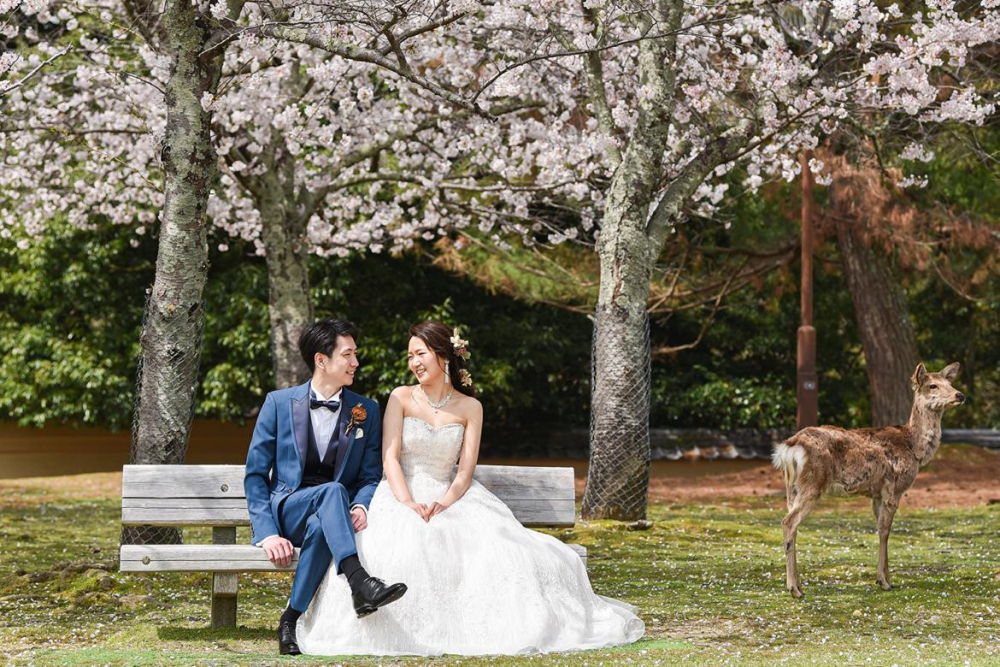 スタジオゼロ 奈良店