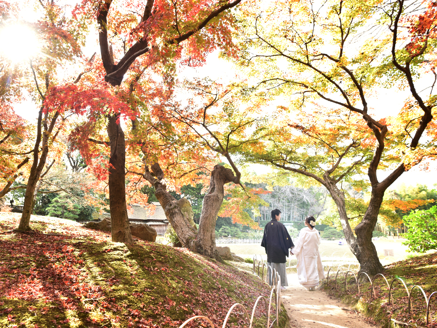 スタジオライト