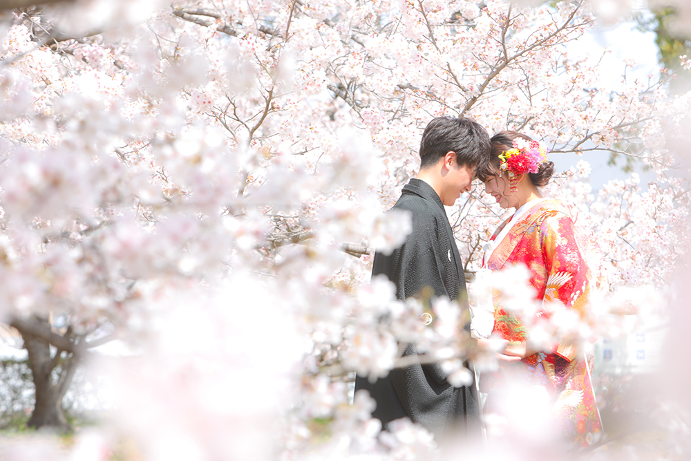 ワタベウェディング松山フォトスタジオ